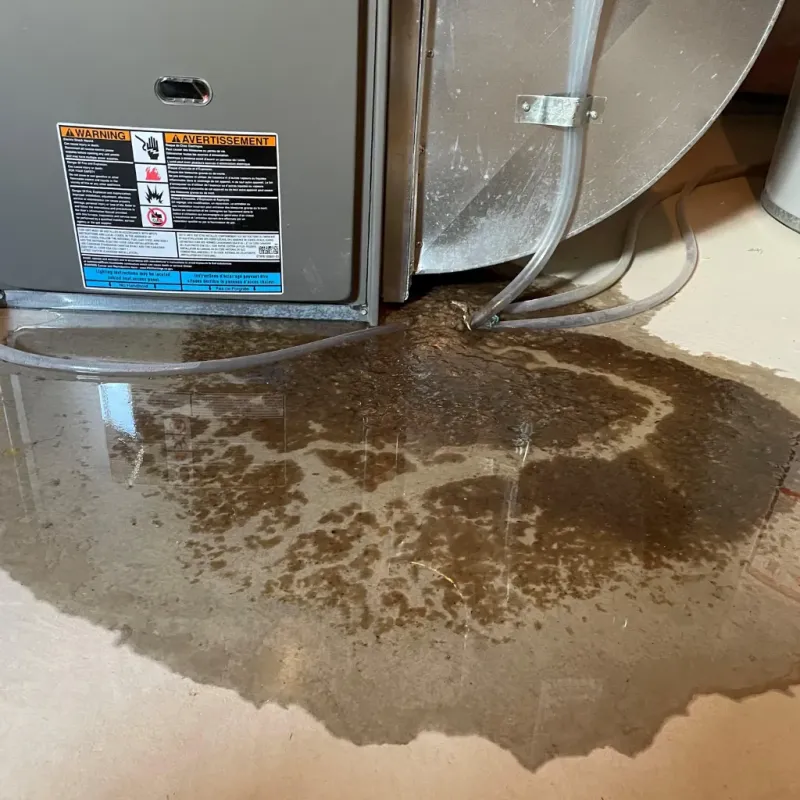 Appliance Leak Cleanup in Kalaheo, HI