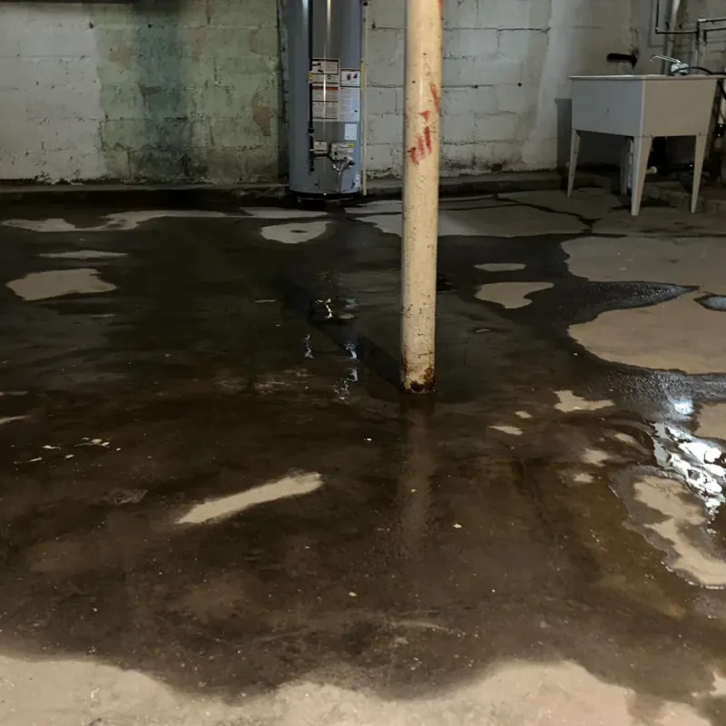 Emergency Water Extraction And Removal in Kalaheo, HI